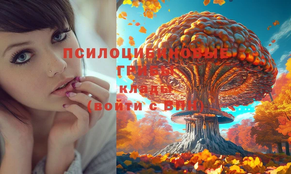 круглые Верхний Тагил