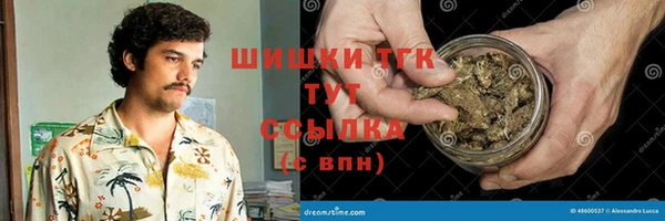ПСИЛОЦИБИНОВЫЕ ГРИБЫ Верея
