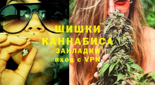 ПСИЛОЦИБИНОВЫЕ ГРИБЫ Верея