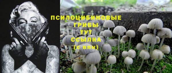 круглые Верхний Тагил