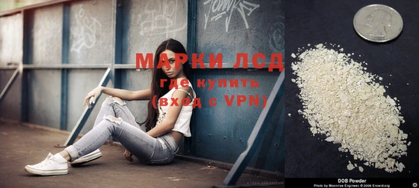 ПСИЛОЦИБИНОВЫЕ ГРИБЫ Верея