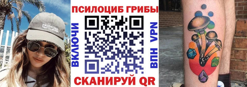 Псилоцибиновые грибы ЛСД Высоковск